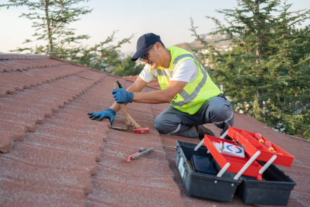 Best Metal Roofing Contractor  in Amsterdam, NY