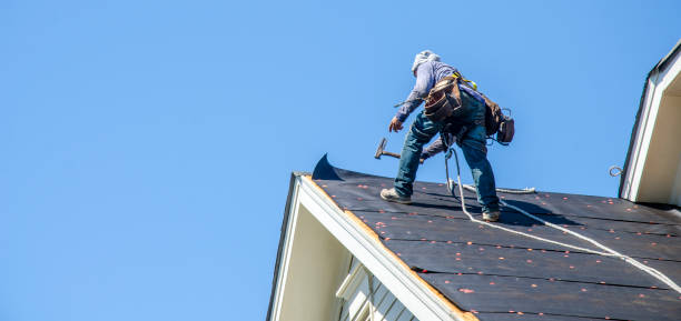 Roof Gutter Cleaning in Amsterdam, NY